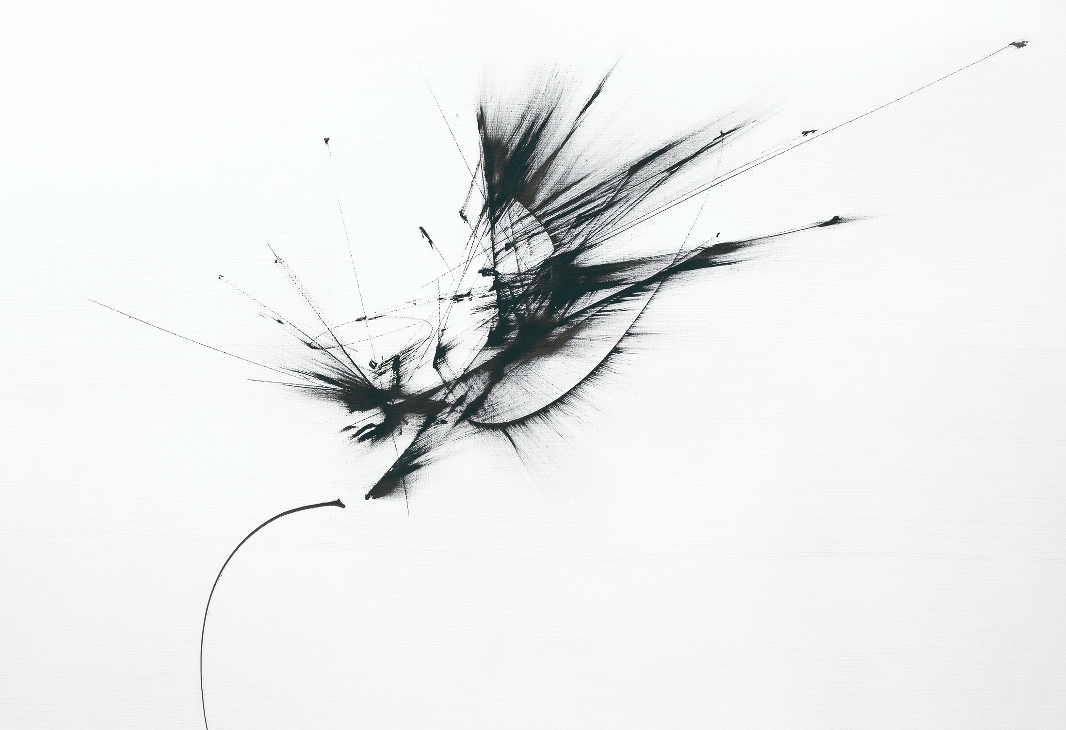Broken Light News