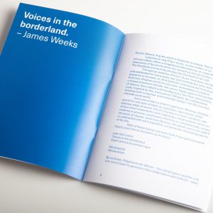 Jürg Frey: Voices - Image 2